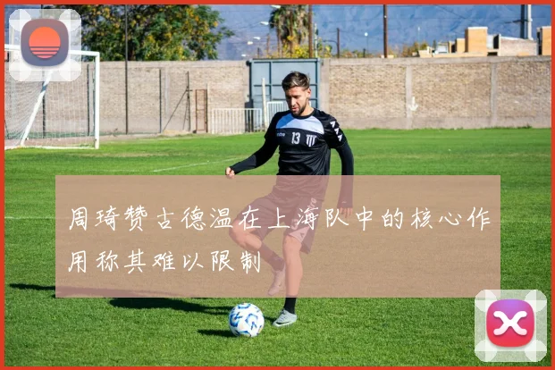 周琦赞古德温在上海队中的核心作用称其难以限制